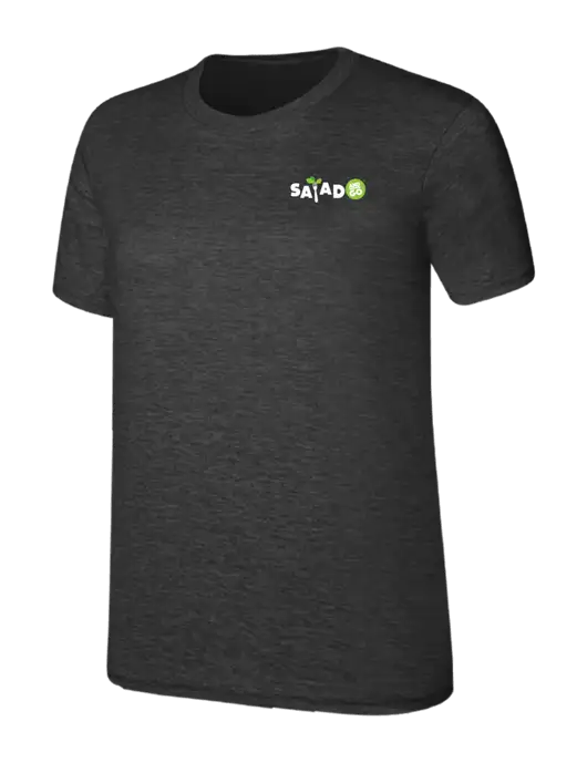 Womens Ring Spun Dark Heather Grey 4.5 oz T-Shirt w/Salad And Go Logo