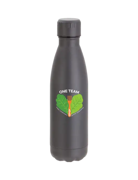 City Go Matte Charcoal 17 oz Insulated Bottle w/One Team Logo