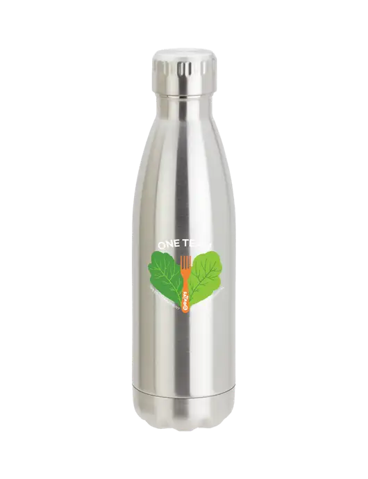 City Go Silver 17 oz Insulated Bottle w/One Team Logo