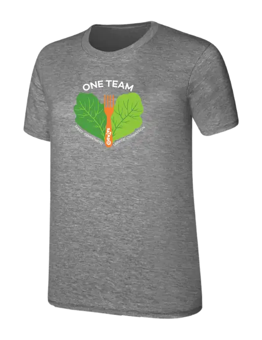 Womens Ring Spun Light Grey Heather 4.5 oz T-Shirt w/One Team Logo