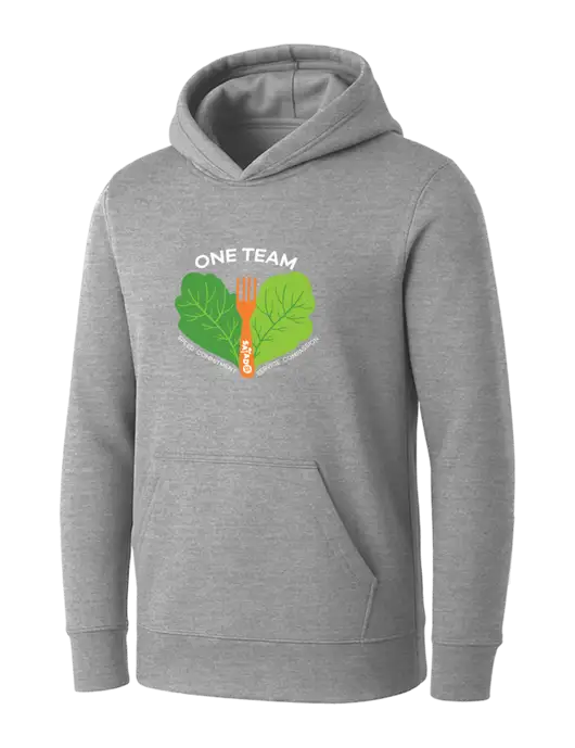 Womens Light Grey Heather Core Fleece Pullover Hooded Sweatshirt w/One Team Logo